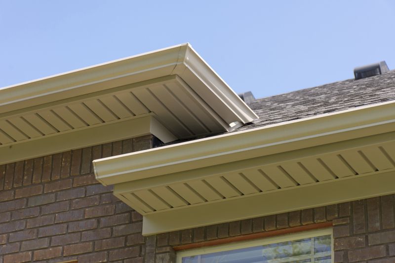 Soffit Damage Repair in Olathe, KS